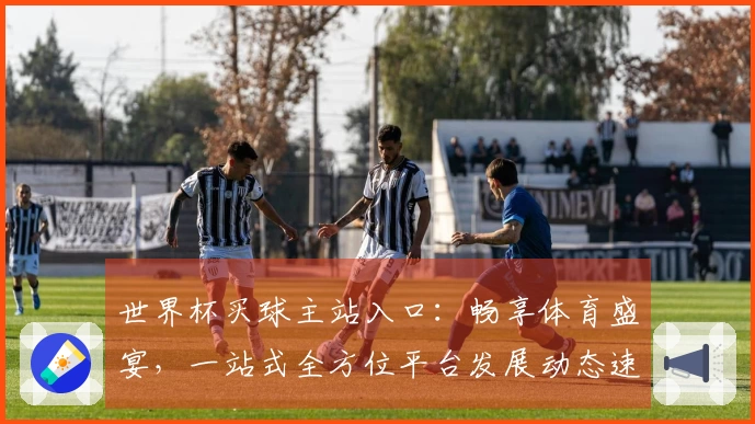 世界杯买球主站入口：畅享体育盛宴，一站式全方位平台发展动态速览